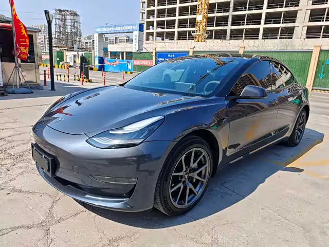 TESLA MODEL 3 2020
