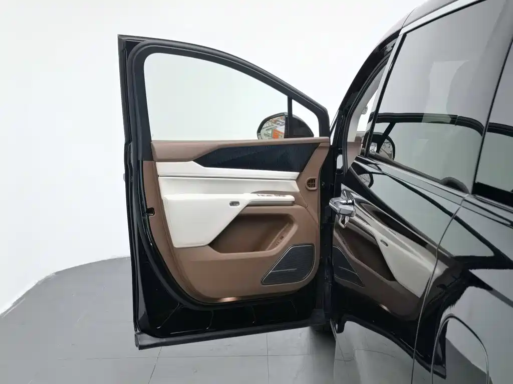 BYD Xia 2025 DM-i 1.5T 180km