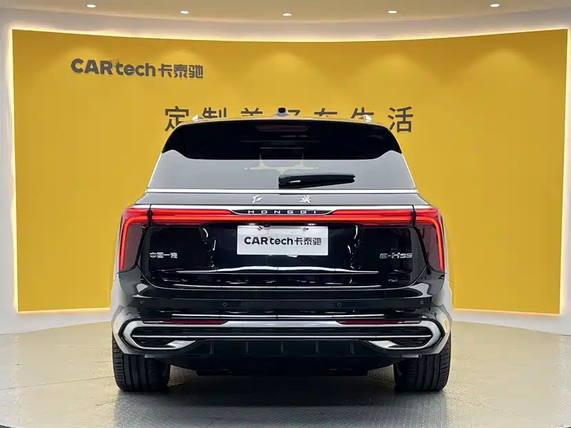 Hongqi Hongqi E-HS9 — миниатюра 5