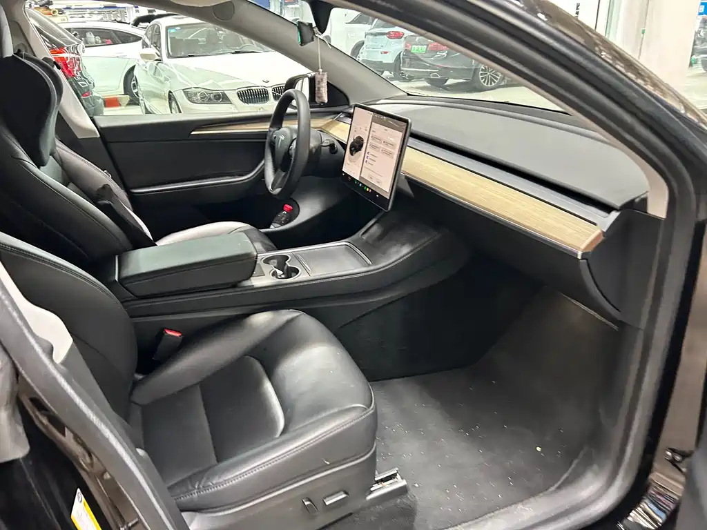 Tesla Model Y — миниатюра 8