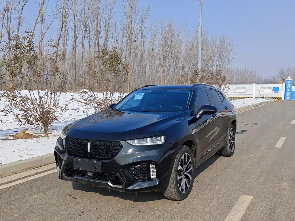 WEI PAI WEI BRAND VV7