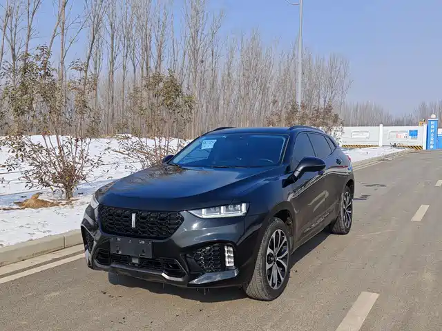 WEI PAI WEI BRAND VV7