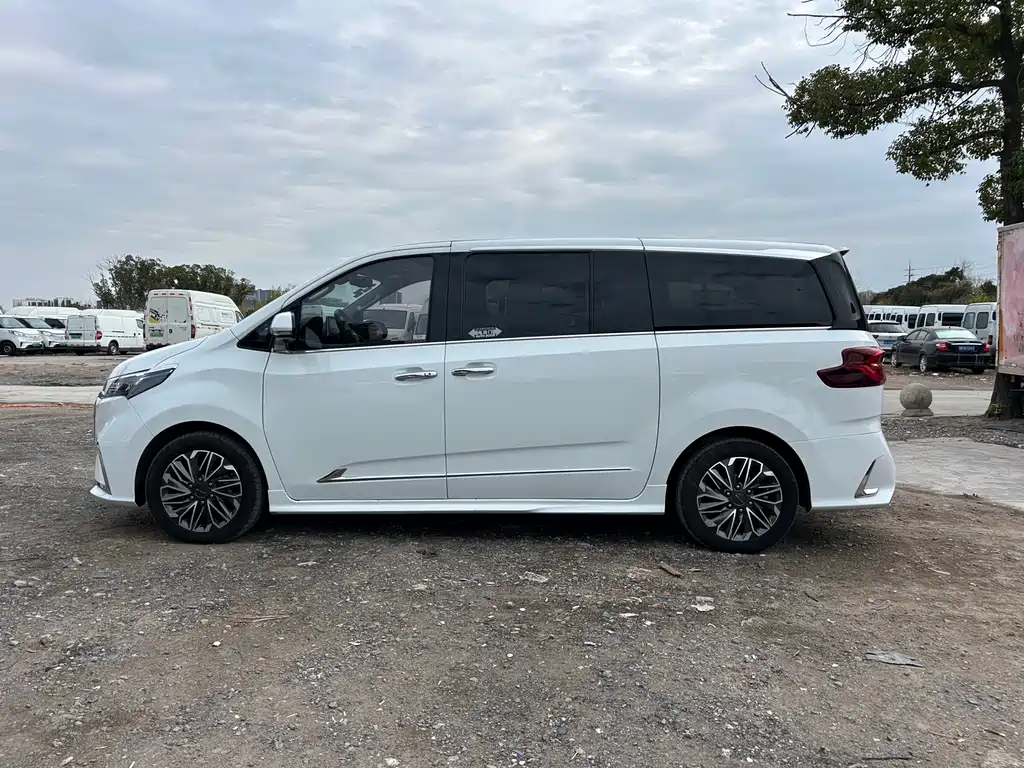 SAIC MAXUS CHASE G20