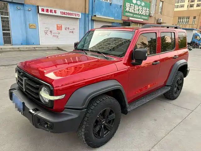 2021 TANK 300