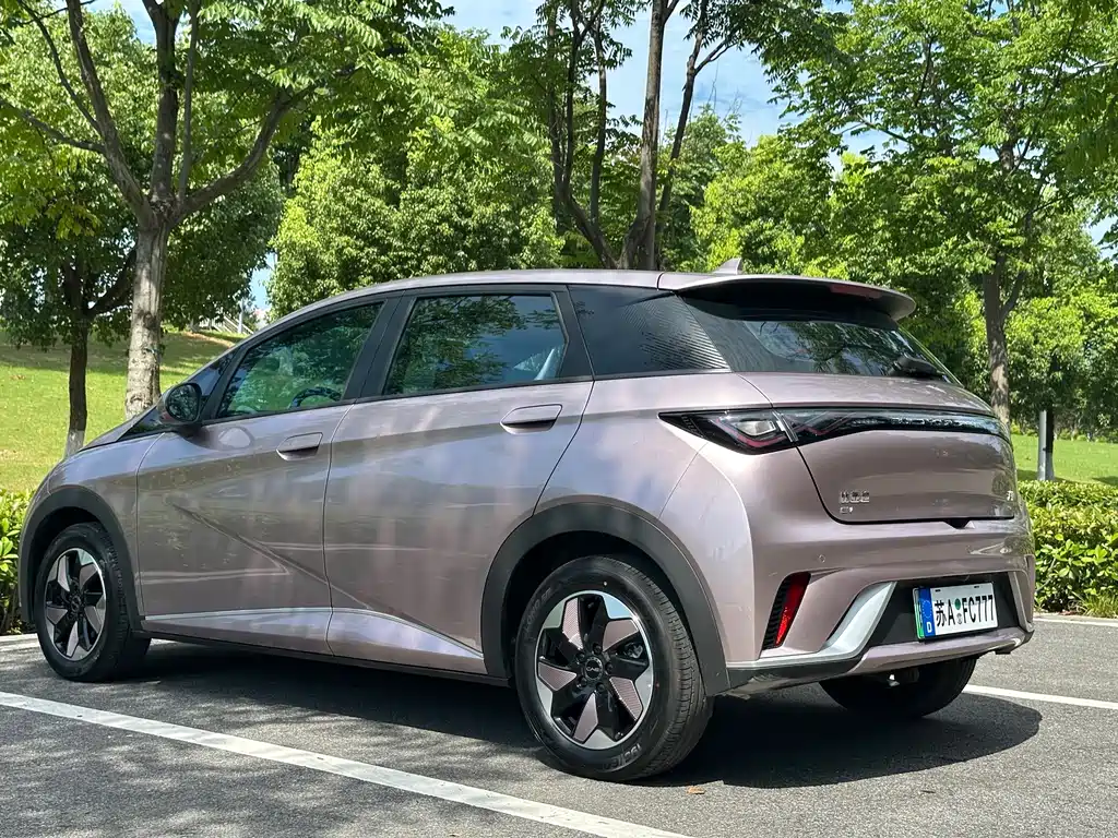 BYD Dolphin — миниатюра 12