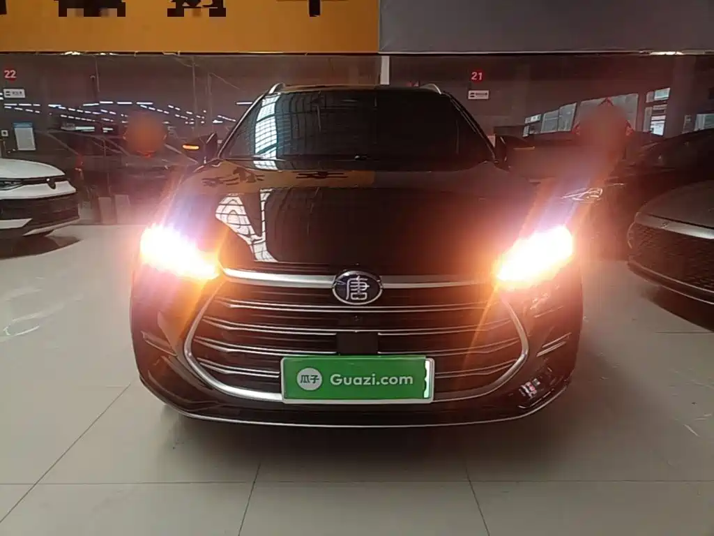 BYD Tang New Energy — миниатюра 3