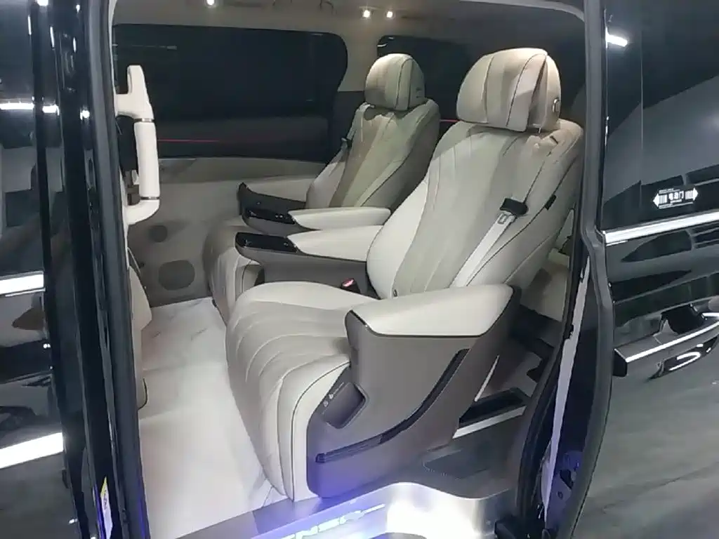 Denza Denza D9 — миниатюра 17