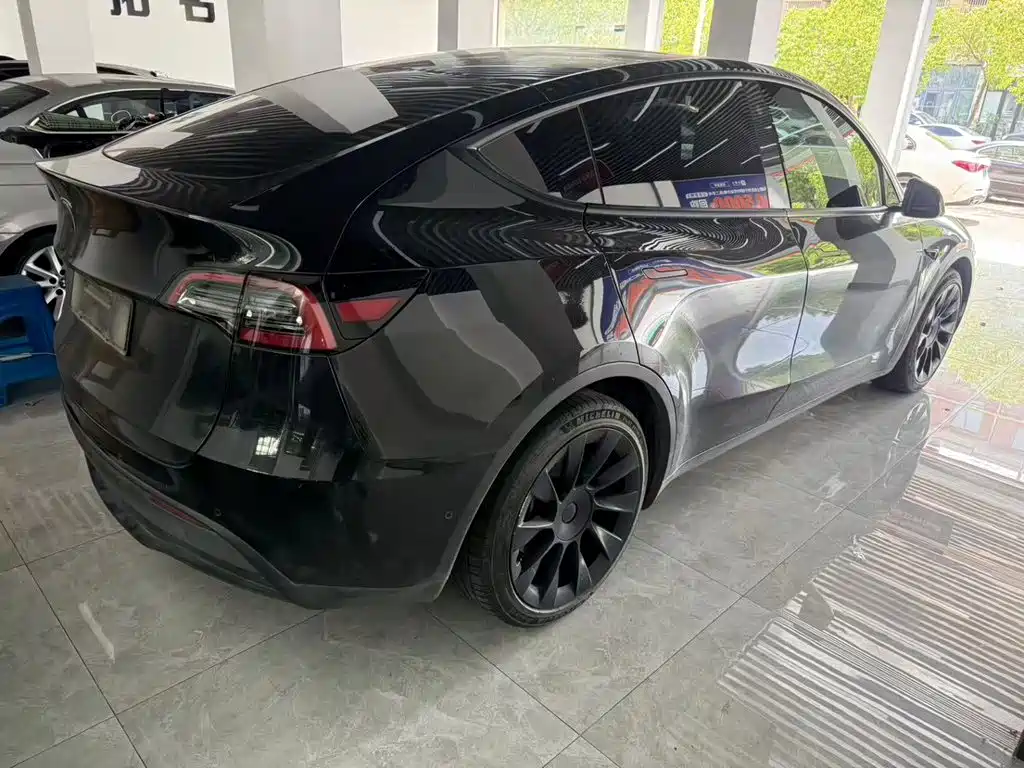 Tesla Model Y — миниатюра 3