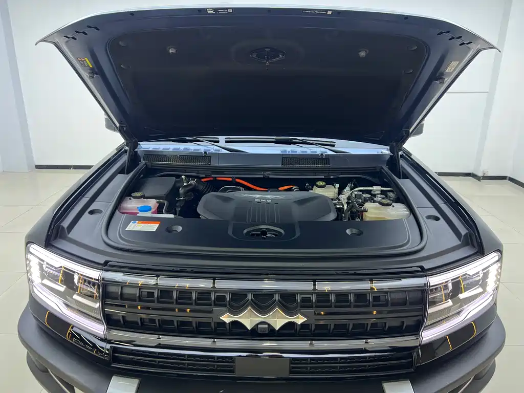 FANG CHENG BAO LEOPARD 5