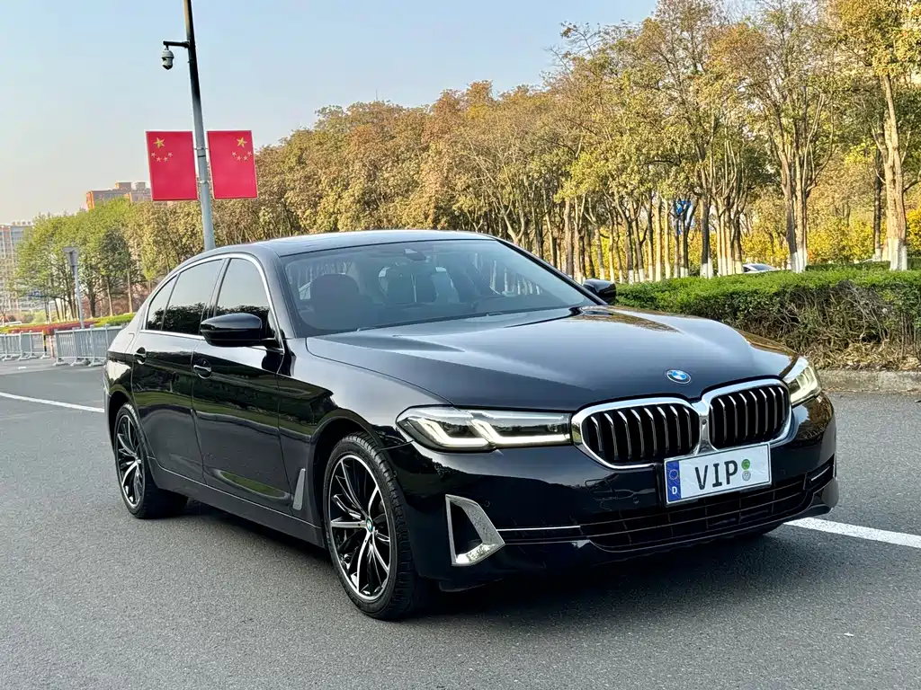 BMW 5 Series 2021