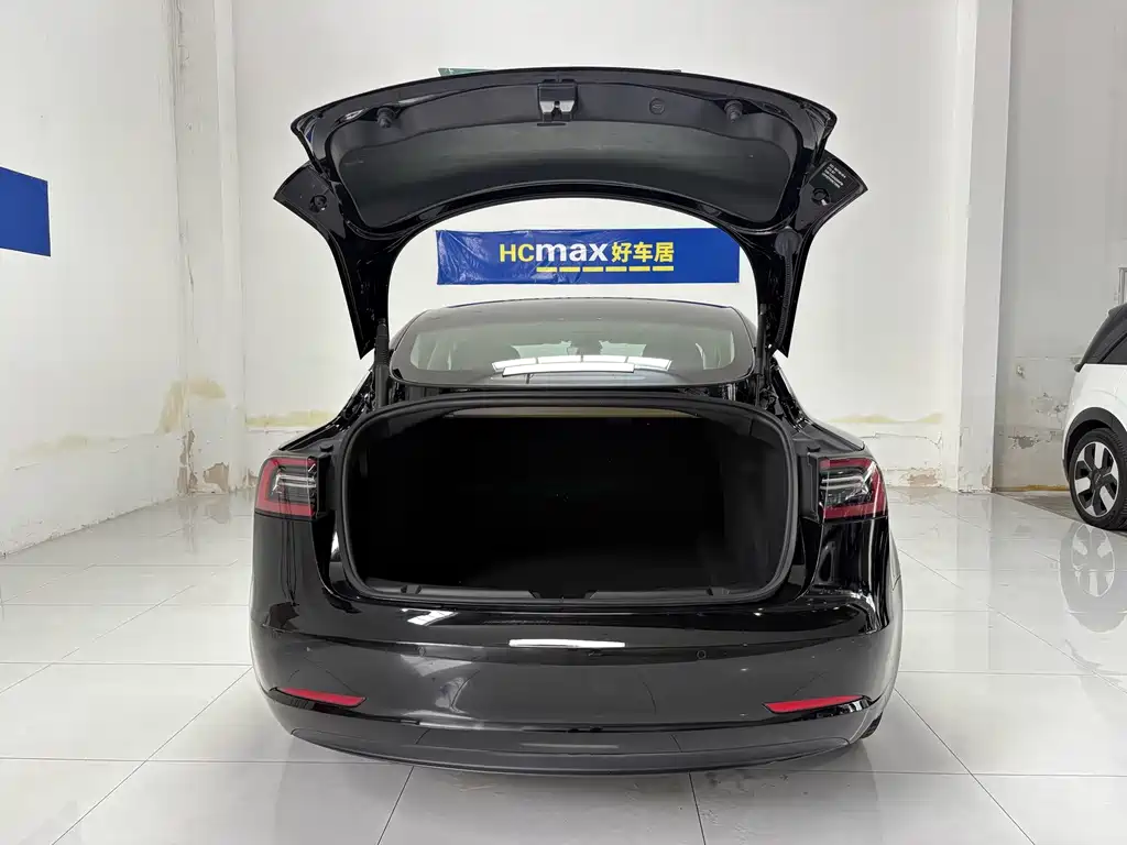 Tesla Model 3 — миниатюра 19