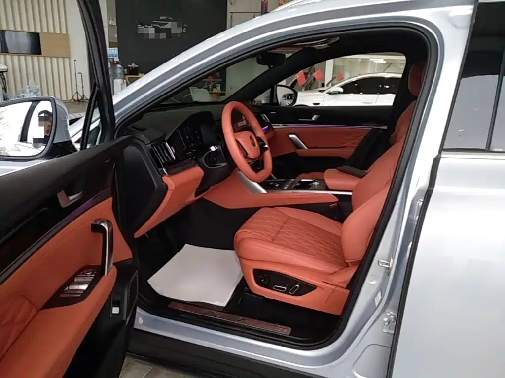 BYD Tang New Energy — миниатюра 16