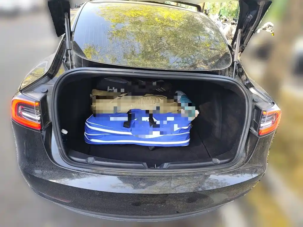 Tesla Model 3 — миниатюра 20
