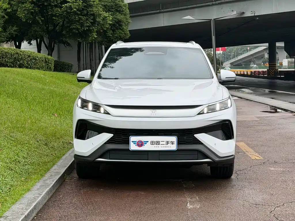 BYD Pro New Energy — миниатюра 2