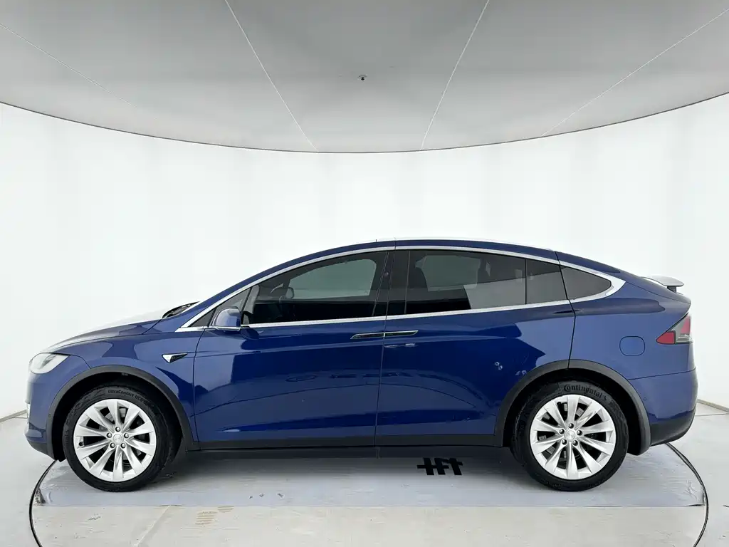 Tesla Model X — миниатюра 3