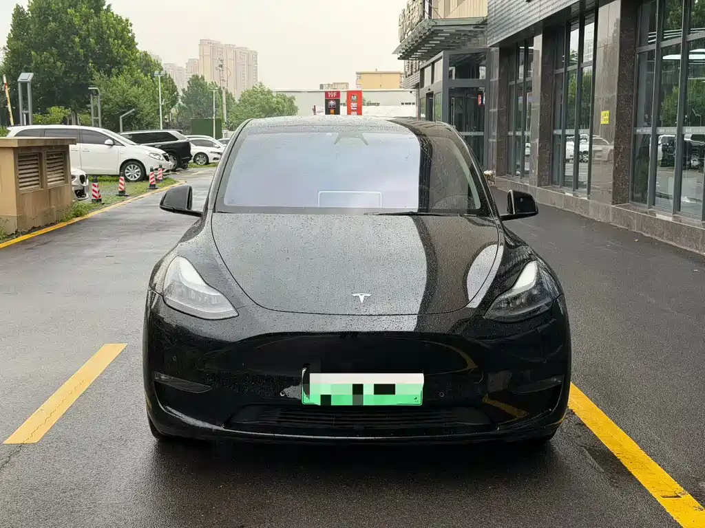 Tesla Model Y 2022 Performance