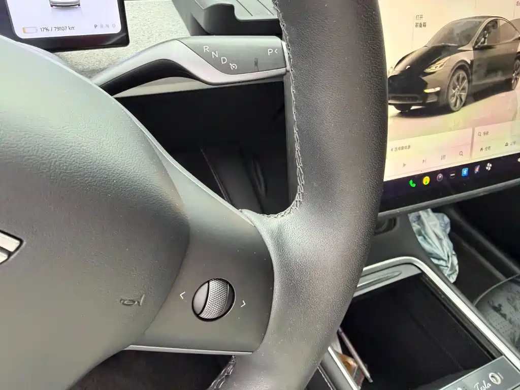 Tesla Model Y — миниатюра 10