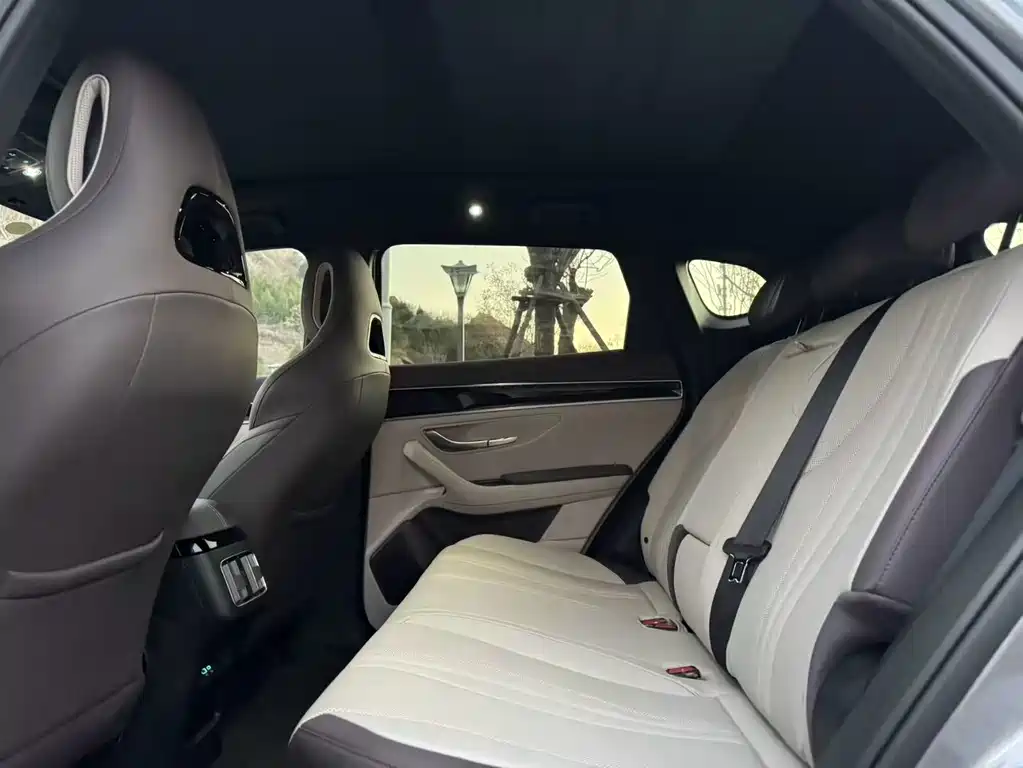 BYD SONGJIANG NEW ENERGY