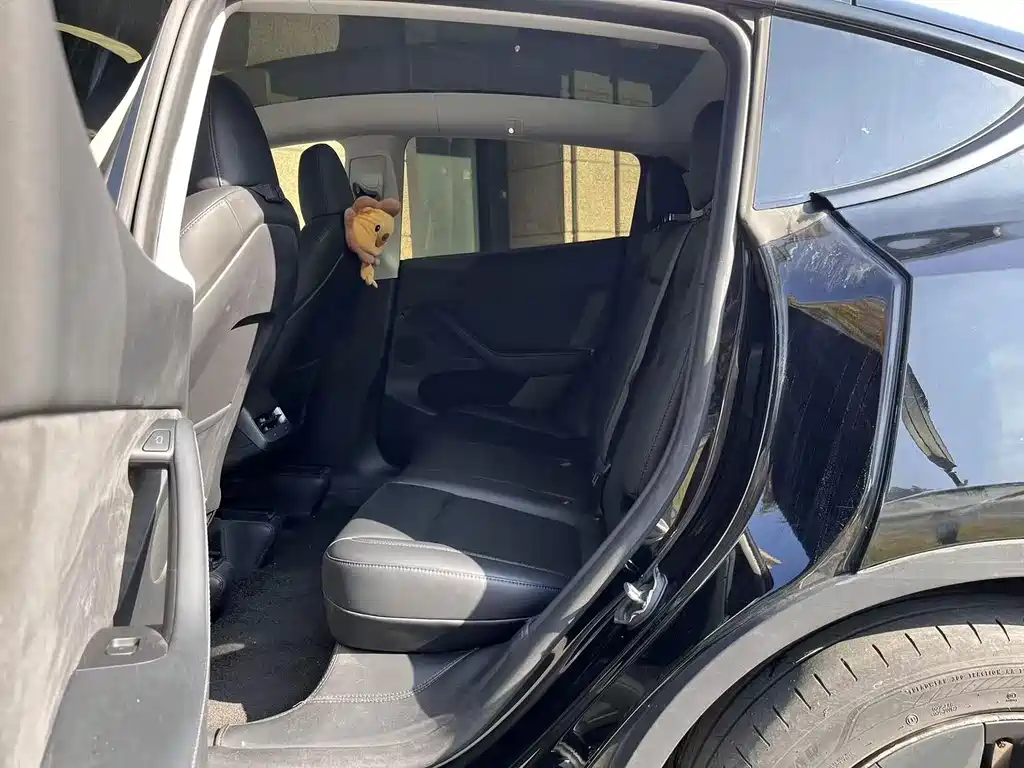 Tesla Model Y — миниатюра 8