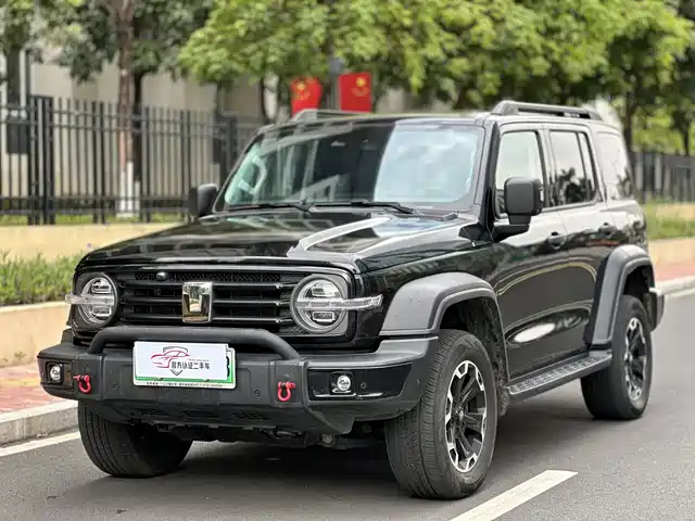 TANK TANK 300 NEW ENERGY 2025