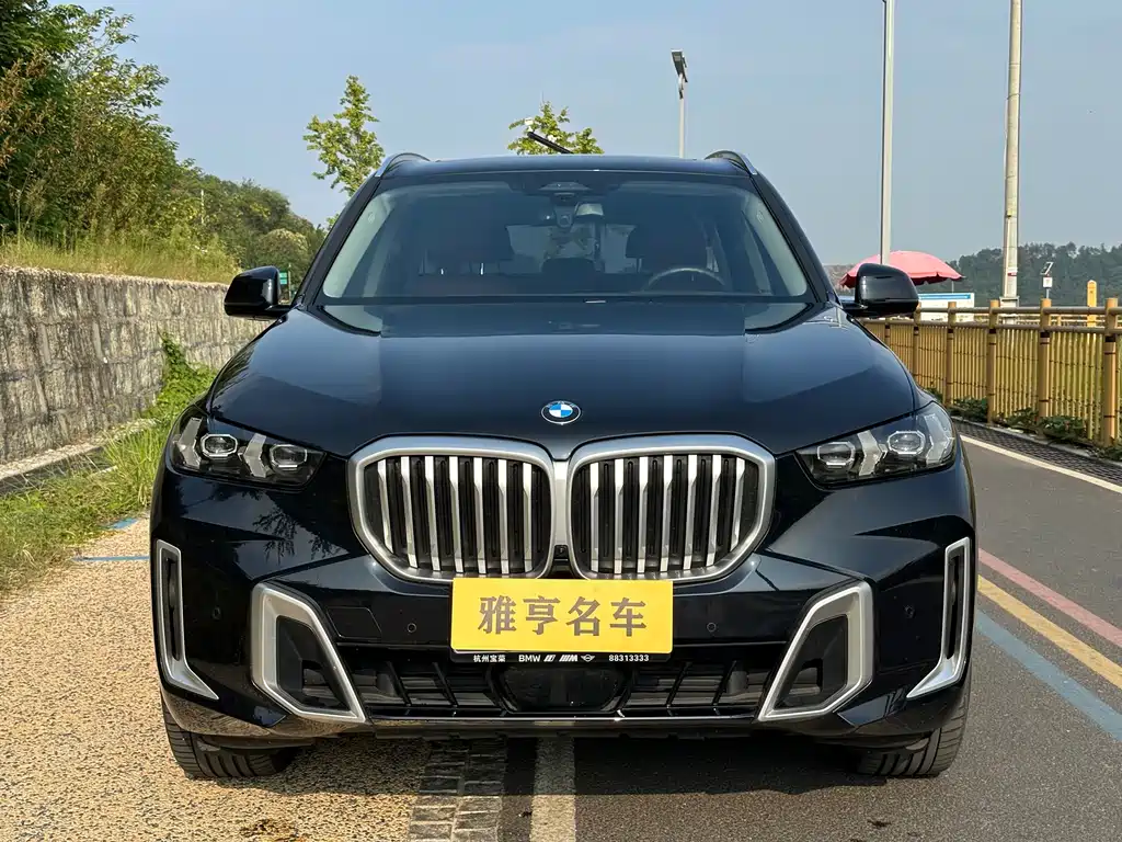 BMW X5 — миниатюра 2