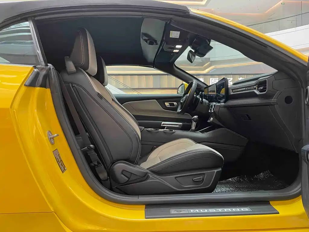 Ford Mustang — миниатюра 12