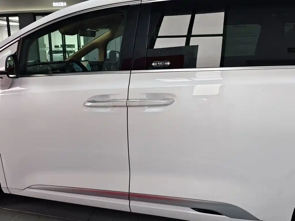 Denza Denza D9 — миниатюра 19