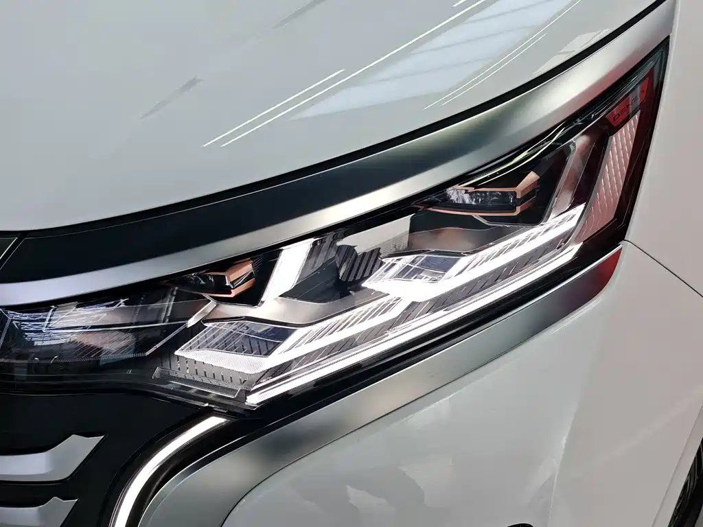 Denza Denza D9 — миниатюра 17