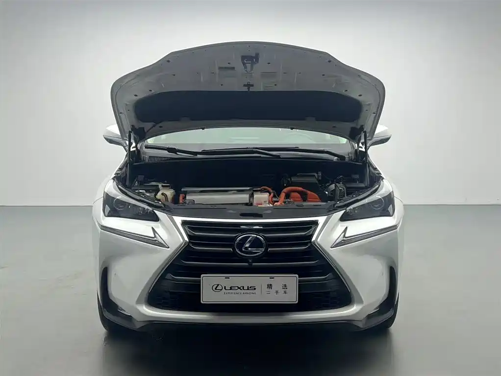 LEXUS  NX
