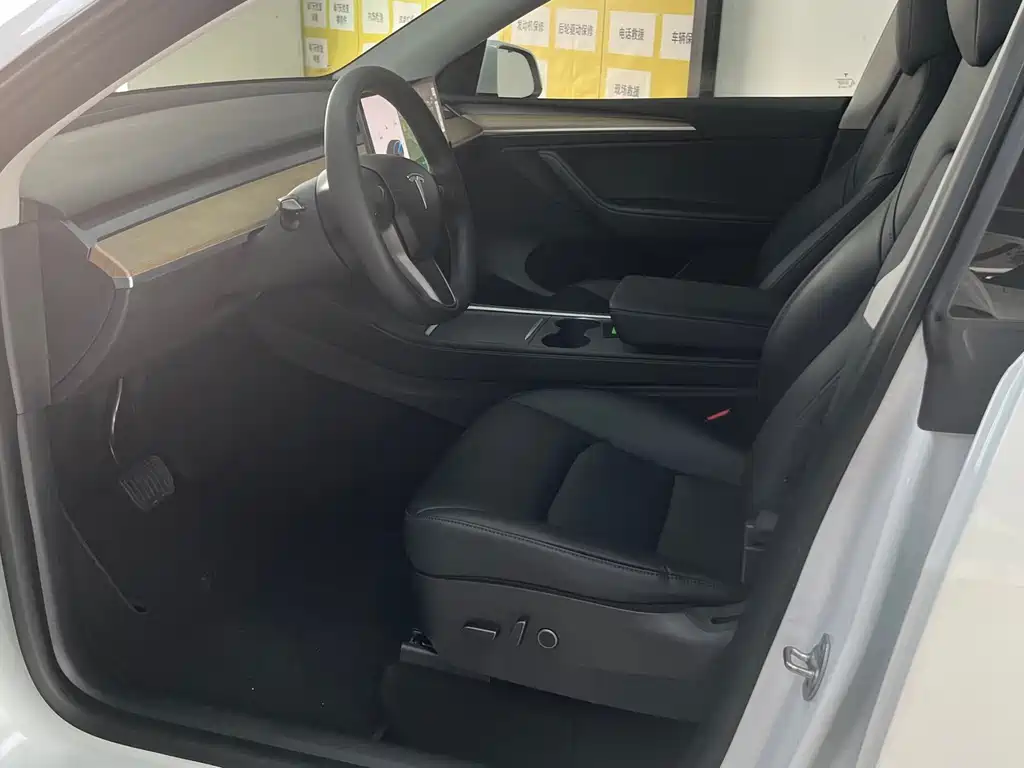 Tesla Model Y — миниатюра 4