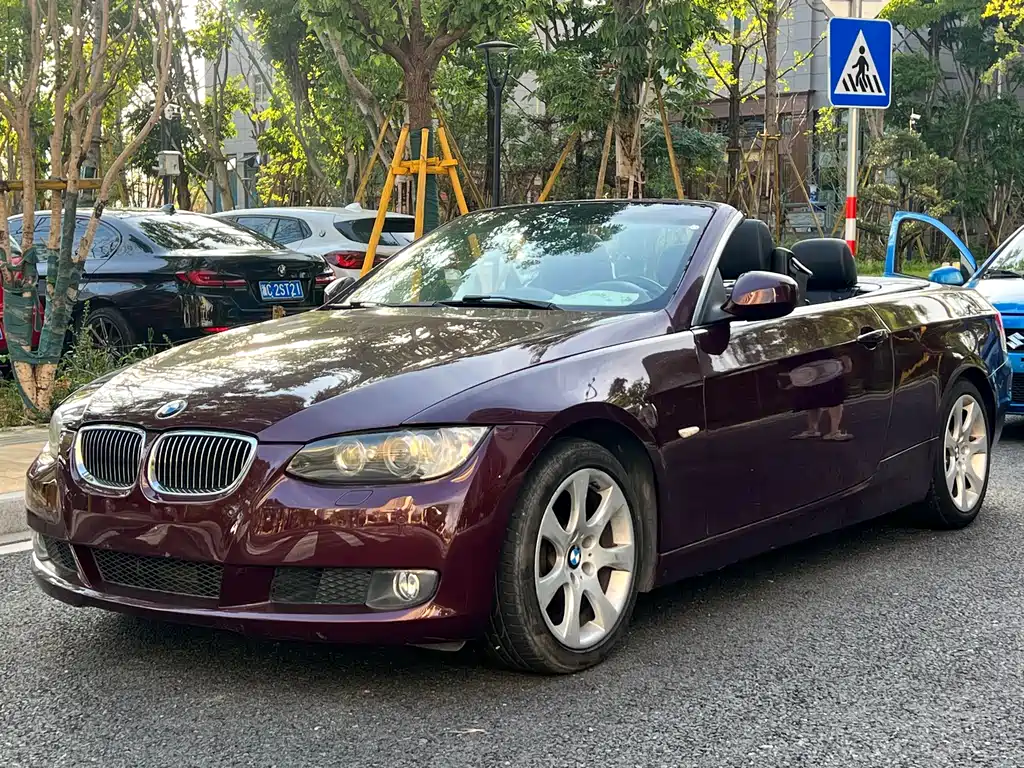 BMW 3 Series (Import) 2010
