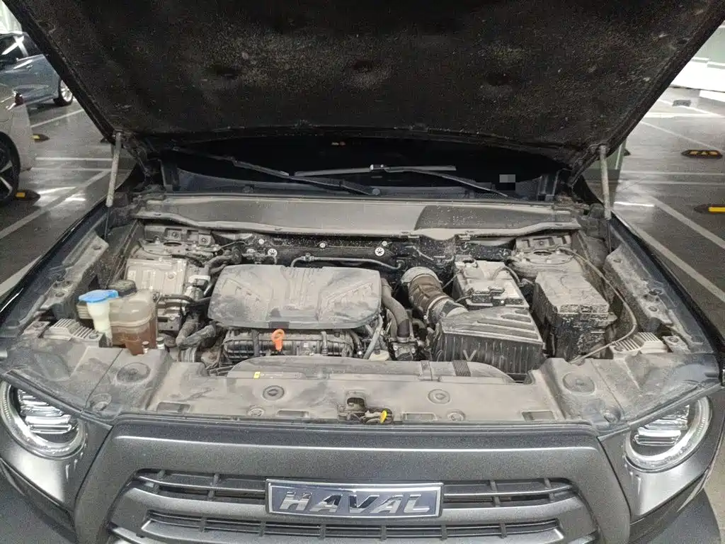 Haval Big Dog — миниатюра 21