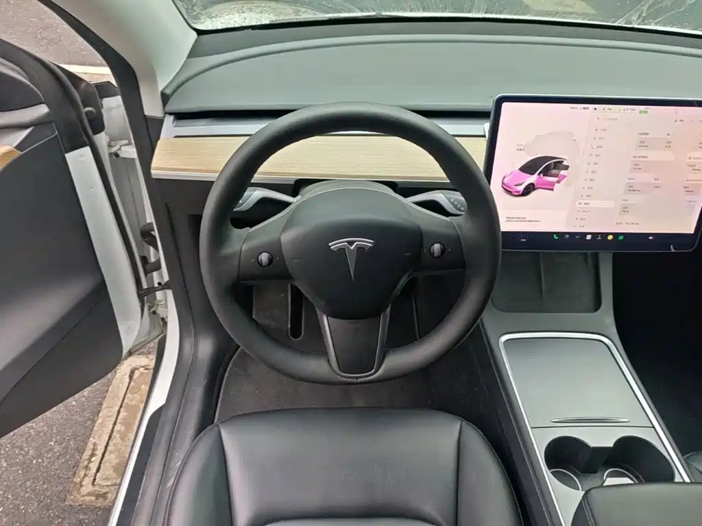 Tesla Model Y — миниатюра 11
