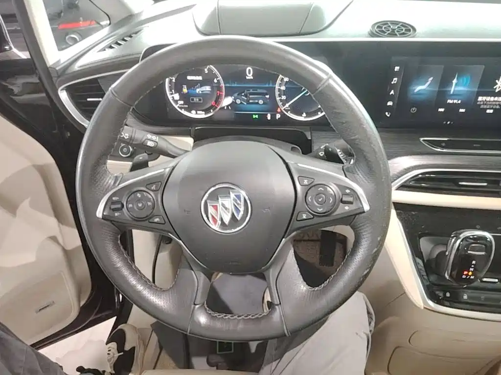 Buick GL8 — миниатюра 11