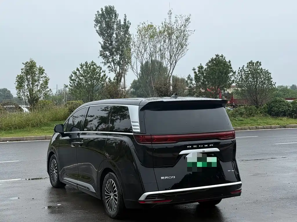 Denza Denza D9 — миниатюра 7