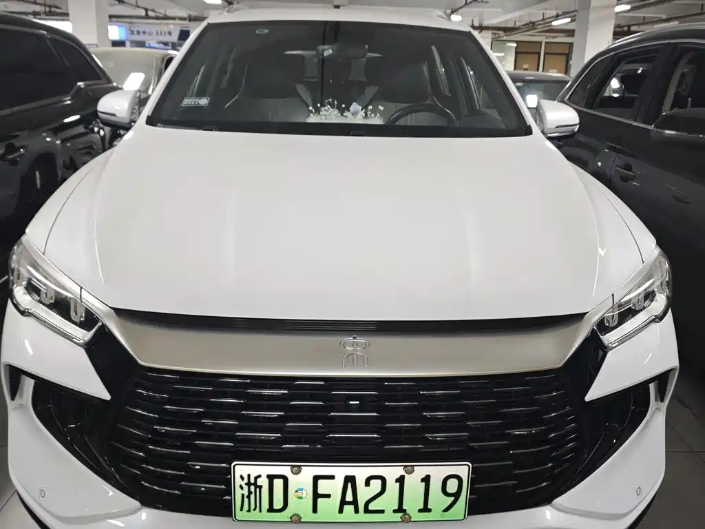 BYD SONGJIANG NEW ENERGY