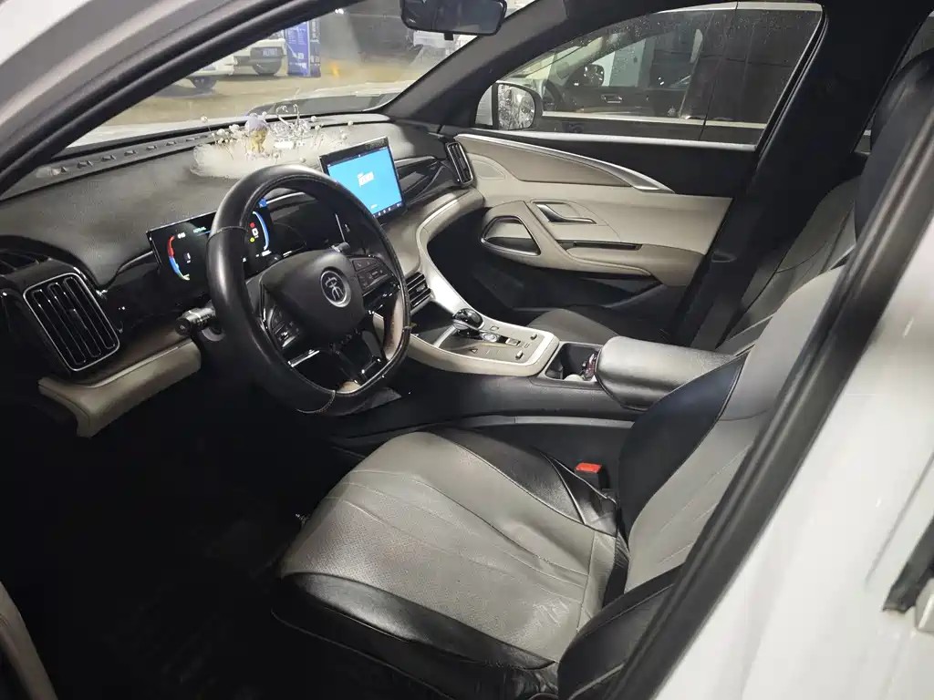 BYD SONGJIANG NEW ENERGY