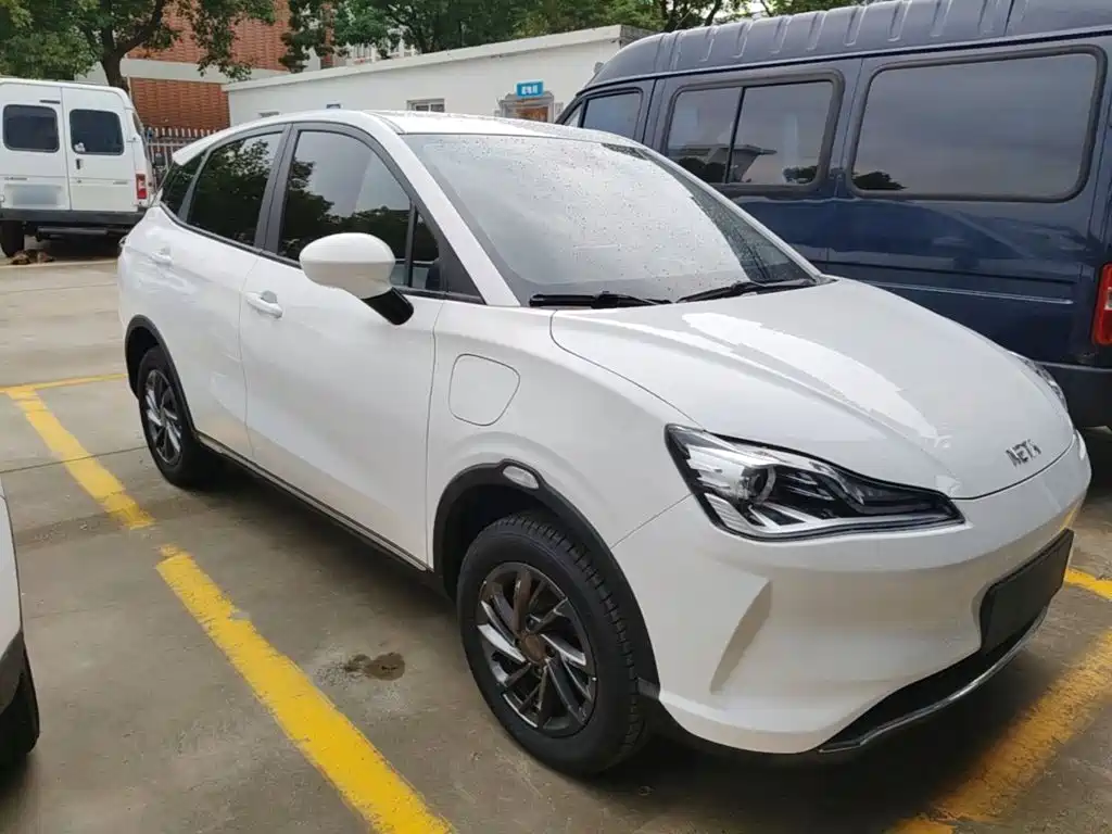 Neta Neta V — миниатюра 4