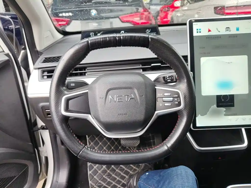 Neta Neta V — миниатюра 11
