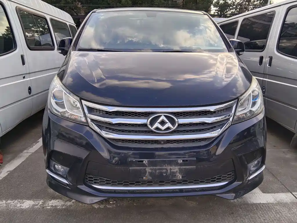 SAIC MAXUS CHASE G10