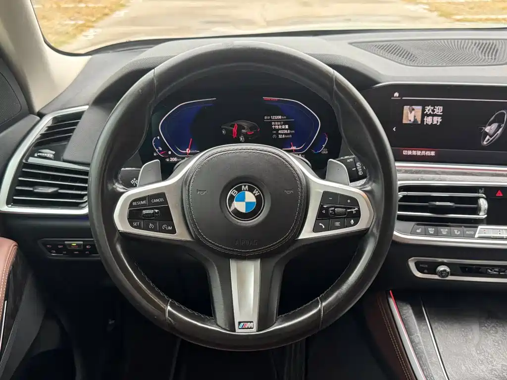 BMW X5 (Import) — миниатюра 26