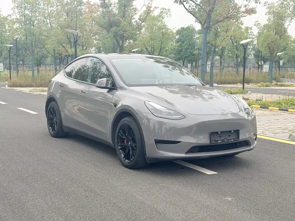 Tesla Model Y — миниатюра 3