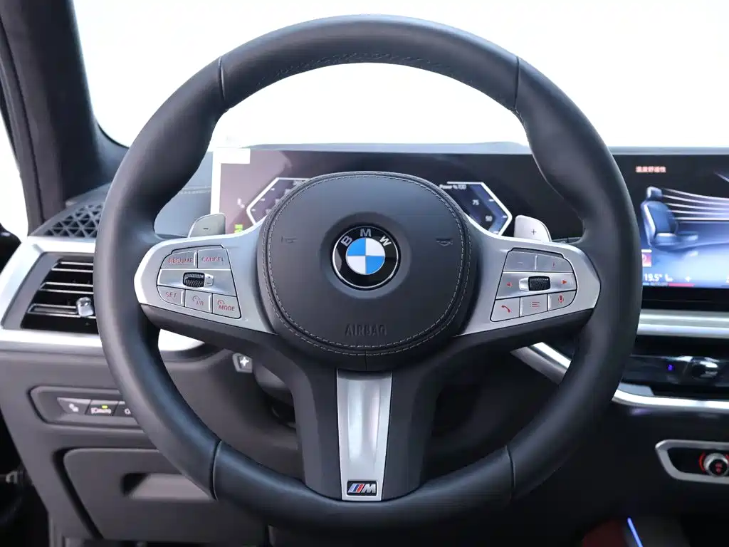 BMW X5 — миниатюра 16