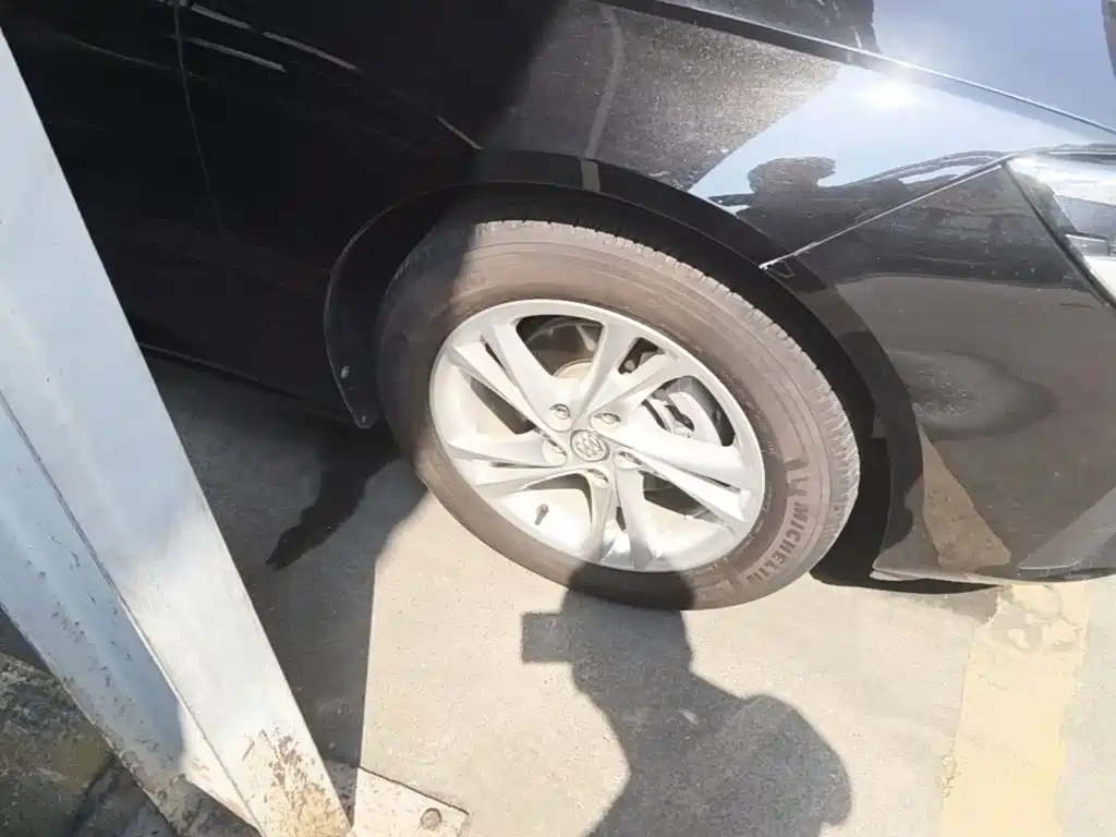 Buick Regal — миниатюра 12