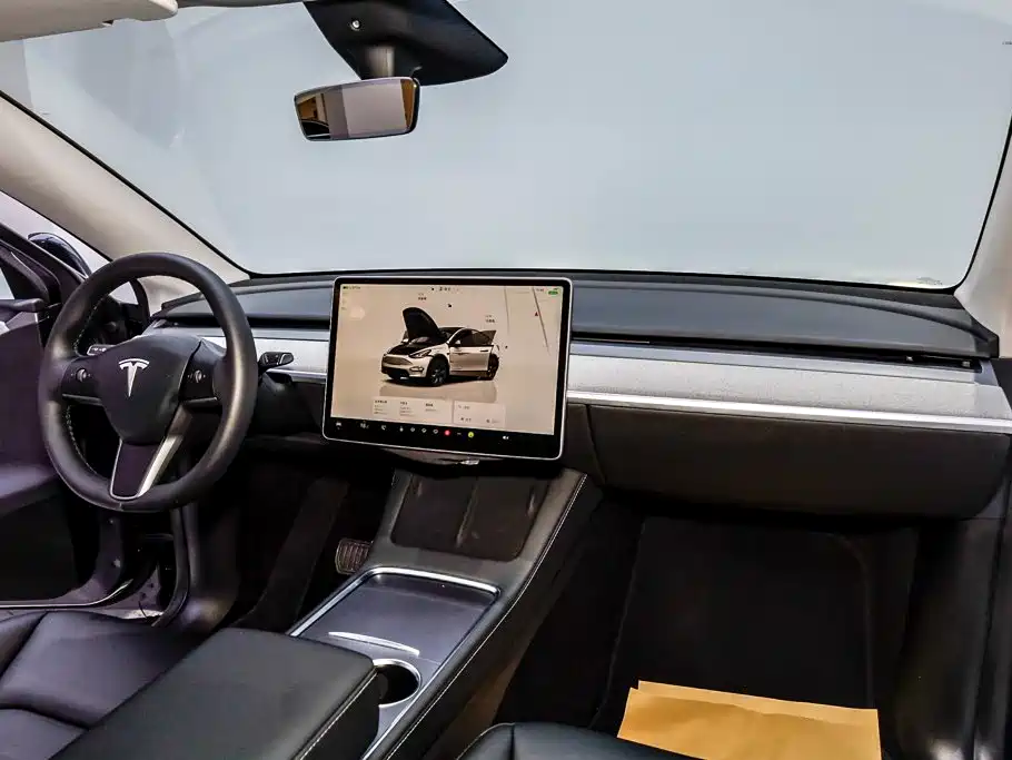 Tesla Model Y — миниатюра 24