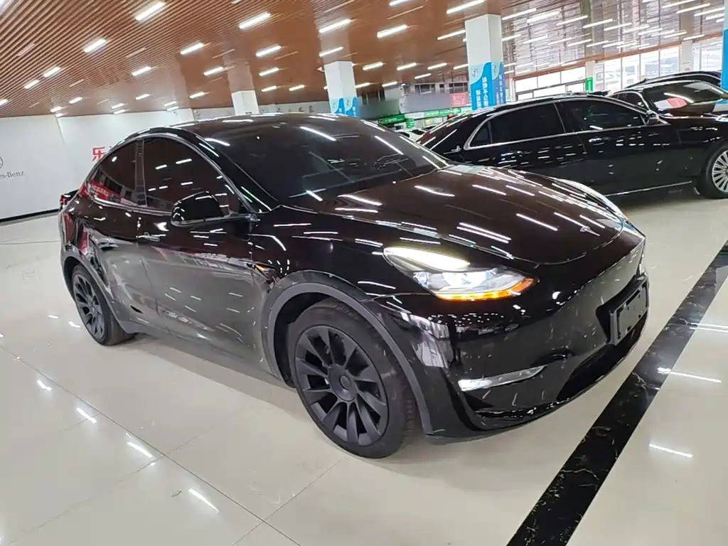 Tesla Model Y — миниатюра 4