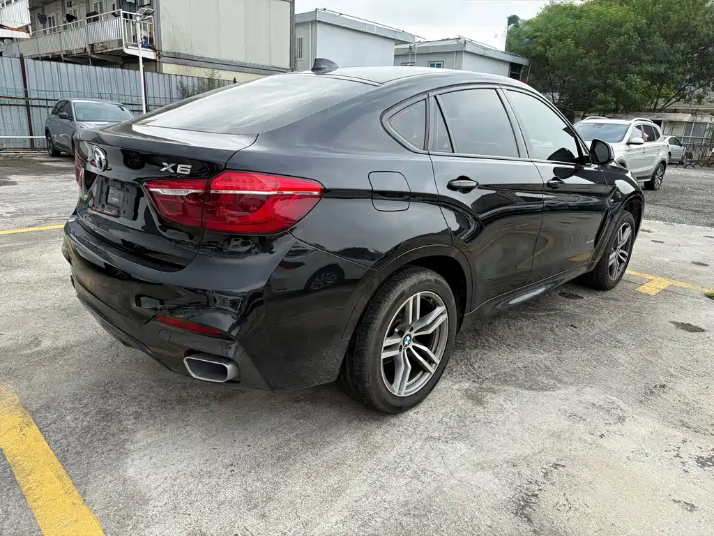 BMW X6 — миниатюра 9