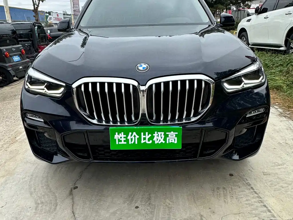 BMW X5 (Import) — миниатюра 2