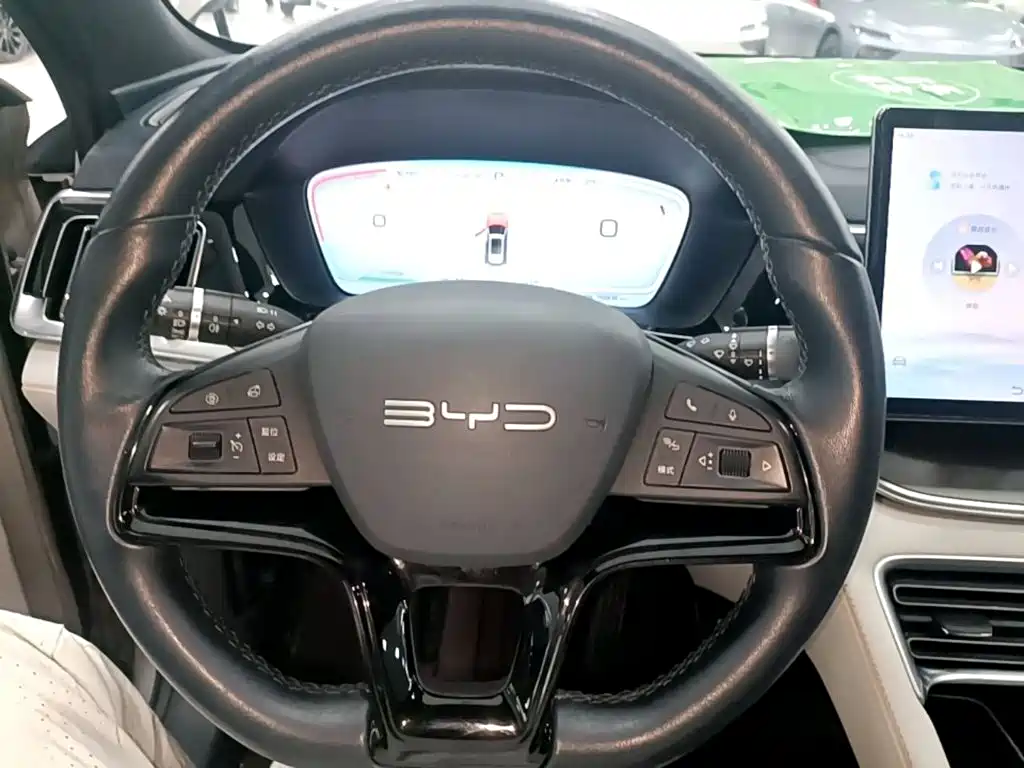 BYD PLUS New Energy — миниатюра 11