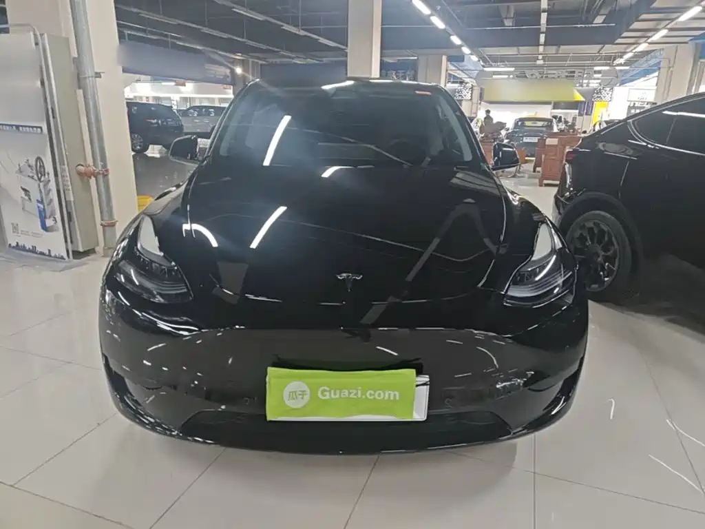 Tesla Model Y — миниатюра 3